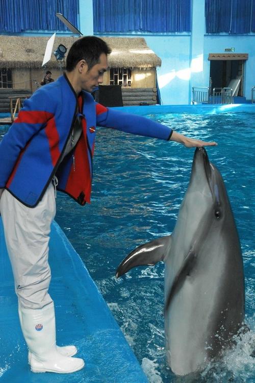 海洋朋友