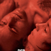 自由意志Freie Wille, Der(2006)