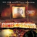 Electric Shadows(2004)