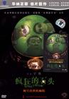 所有图片#xx:疯狂的石头