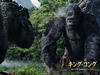 金刚/King Kong(2005) 电影图片 桌面(日本) #15 省略图