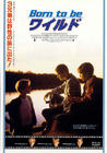 勇闯天涯路/Wild America