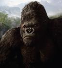 金刚/King Kong(2005) 电影图片 剧照 #26 省略图