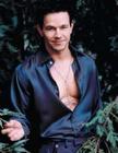 写真 #38：马克·沃尔伯格 Mark Wahlberg