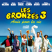 艳阳假期3：永恒的朋友Bronzés amis pour la vie, Les(2006)