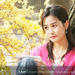 绿蔷薇/Green Rose(2005)