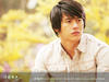 绿蔷薇/Green Rose(2005) 图片 桌面 #05 省略图