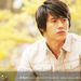 绿蔷薇/Green Rose(2005)