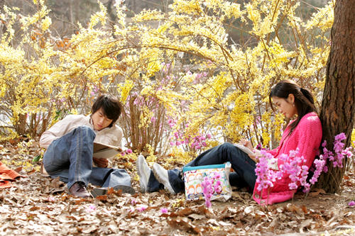 绿蔷薇/Green Rose(2005) 图片 剧照 #18 大图 650X433