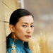 绿蔷薇/Green Rose(2005)