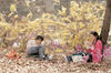 绿蔷薇/Green Rose(2005) 图片 剧照 #67 省略图