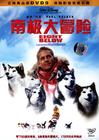 南极大冒险 DVD封套(中国)