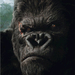 金刚/King Kong(2005)