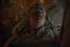 世贸中心 剧照 #15