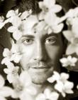 写真 #08：杰克·吉伦哈尔 Jake Gyllenhaal