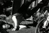 写真 #09：杰森·贝尔 Jason Behr