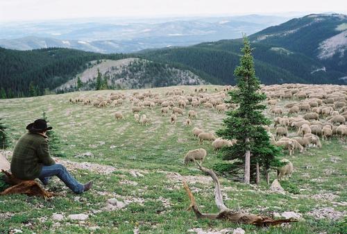 断背山/Brokeback Mountain(2005) 电影图片 剧照 #30 大图 1200X808