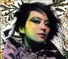 写真 #11：梁咏琪 Gigi Leung