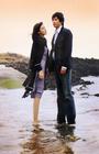 恋爱90天/90 Days of Love