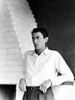 写真 #21：格利高里·派克 Gregory Peck
