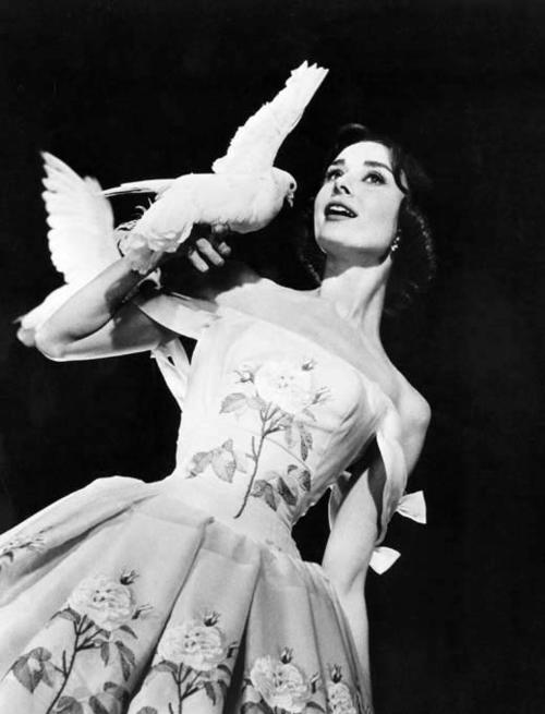 奥黛丽·赫本 Audrey Hepburn 写真 #08