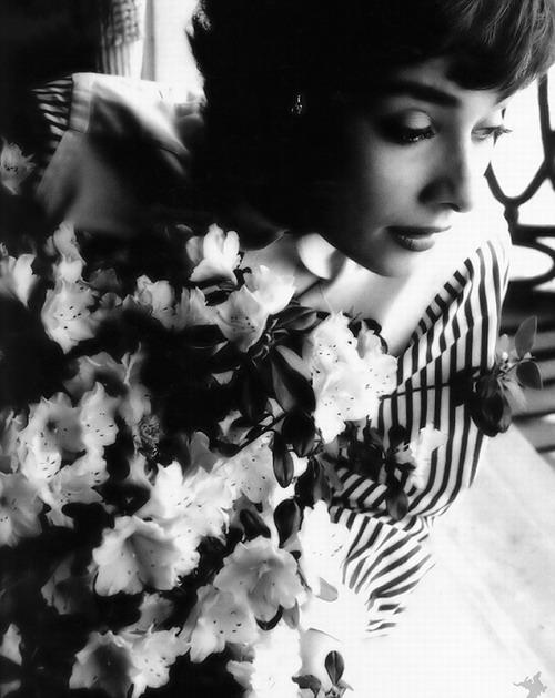 奥黛丽·赫本 Audrey Hepburn 写真 #05