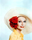 奥黛丽·赫本 Audrey Hepburn 写真 #24