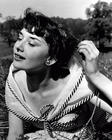 奥黛丽·赫本 Audrey Hepburn 写真 #18