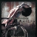 DVD封套 #01 省略图
