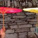 白秋练Bai Qiu Lian(2006)