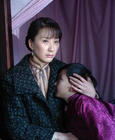 所有图片#xx:梦回青河