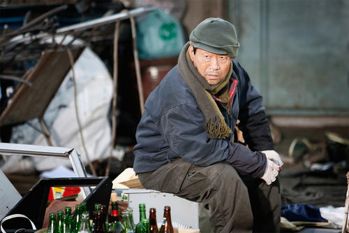 铃铛西红柿