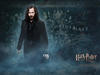 哈利·波特与凤凰社/Harry Potter and the Order of the Phoenix(2007) 电影图片 桌面 #11A 省略图