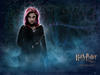 哈利·波特与凤凰社/Harry Potter and the Order of the Phoenix(2007) 电影图片 桌面 #12A 省略图