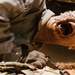 生化危机3：灭绝Resident Evil: Extinction(2007)