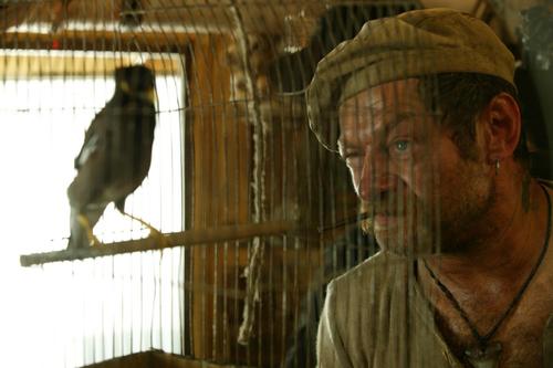 金刚King Kong(2005)剧照 #70