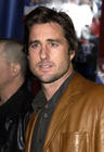 生活照 #06：卢克·威尔逊 Luke Wilson