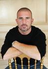 写真 #12：多米尼克·珀塞尔 Dominic Purcell