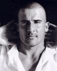 写真 #15：多米尼克·珀塞尔 Dominic Purcell