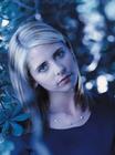 写真 #32：莎拉·米歇尔·盖拉 Sarah Michelle Gellar
