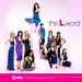 拉字至上/The L Word(2004)