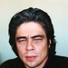 本尼西奥·德尔·托罗 Benicio Del Toro