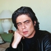本尼西奥·德尔·托罗 Benicio Del Toro