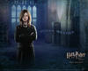 哈利·波特与凤凰社/Harry Potter and the Order of the Phoenix(2007) 电影图片 桌面 #14B 省略图