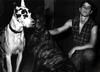写真 #34：乔什·哈奈特 Josh Hartnett