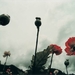剧照 #17