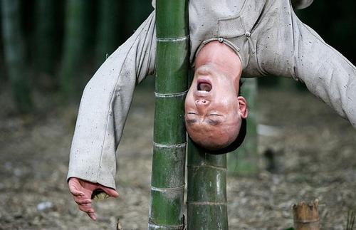 鹿鼎记/Lu Ding Ji(2008) 图片 剧照 #05 大图 600X387