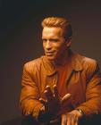 写真 #15：阿诺·施瓦辛格 Arnold Schwarzenegger
