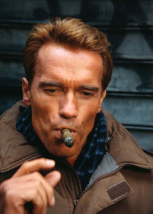阿诺·施瓦辛格 Arnold Schwarzenegger 写真 #14