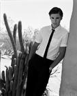 写真 #15：扎克·埃夫隆 Zac Efron